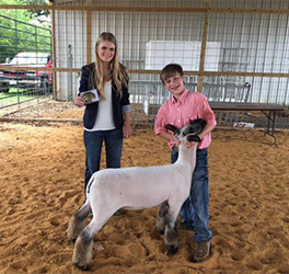 Snell Club Lambs Winners