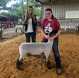 Snell Club Lambs Winners